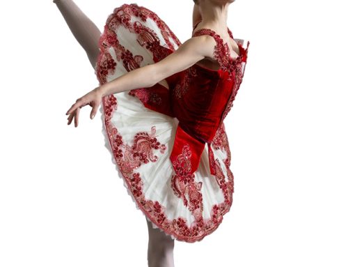 Vermont Ballet Review – Exceptional Training Program for Classical Ballet